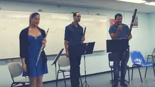 Three Little Pieces for Flute, Clarinet & Bassoon - live concert