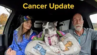 Cancer Update