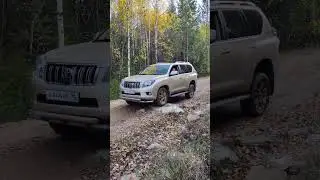 Прадо может и по камням 