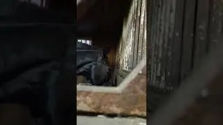 Я на канюшнне 🏇🐴🐎😄