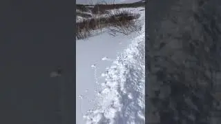 Покатушки на банных