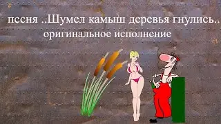 песня шумел камыш деревья гнулись# музыкальная шутка# караоке# шансон