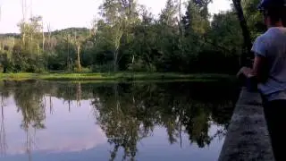 Georgia Bass Fishing - Missed Buzzbait Bass