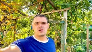 Харьков.😞Люди Уехали Бросили Дом