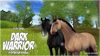ВОРОНОЙ ЛУЗИТАН//Star Stable//#17