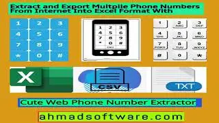 How Can I Export Multiple Phone Numbers From Websites To An Excel Sheet