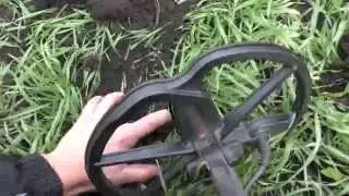 ПОЛЕ ЧУДЕС 3 ! Продолжение