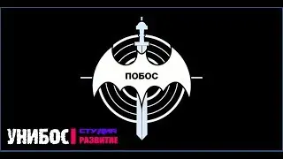 Полицейская Боевая Система (ПОБОС)
