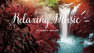Relaxing Music For Meditation[ 2 ]||🐵 MONKEY MUSIC
