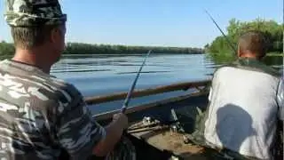 Презентация плавбазы "Шибуми"
