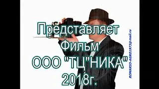 ООО "ТЦ"НИКА"-2018г.