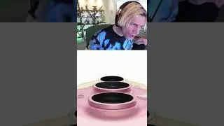 xQc Reacts To The iPhone 15.. 📱