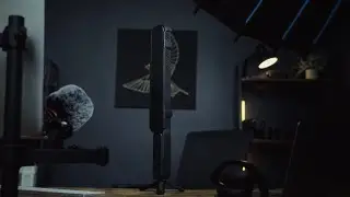 The Zhiyun FiveRay F100 LED Light - The perfect wand light!