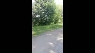 #сплав #плот #ВМФ #пассивныйдоход