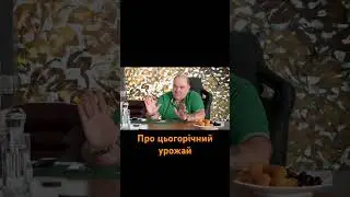 про цьогорічний урожай