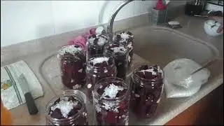 Mor Sağlık