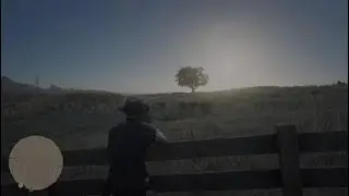 Red Dead Redemption 2_20240204170523