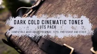 Dark Cold Cinematic Tones | LUTs Pack preview + Free LUT download