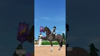 Soldier poet ruler 