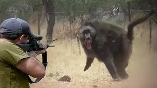 صيد قرود البابون بالبنادق 😱🔥👍👌 الجزء 5