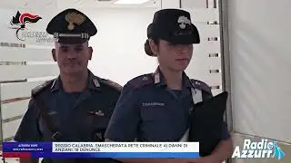 REGGIO CALABRIA. SMASCHERATA RETE CRIMINALE AI DANNI DI ANZIANI: 18 DENUNCE