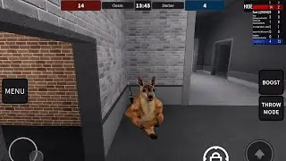 91 kills in Station as KANGAROOK
