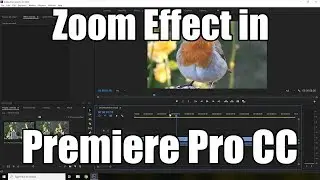 Zoom Effect in Premiere Pro CC