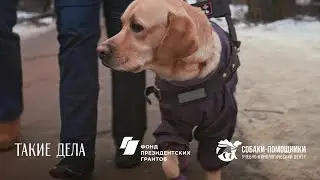 Training and Canine Center 