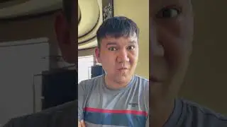 Yangisi | Shapaloq