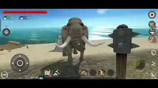 Survivor adventure / part-175
