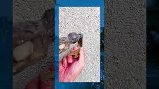 Мало кто знает как заколотить ключ в стену