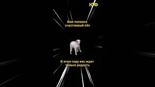 Отправь своему ❤️💔 #открытка #настроение #радость #юмор #собака