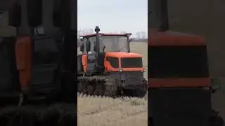 Сельскохозяйственные богатыри.