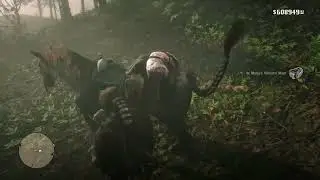 Getting Perfect Skin from Rotten Deer in RDR2