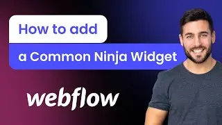 How to add a Common Ninja Widget to Webflow