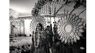 Best Wedding Highlight | Cinematic Film | TWR Films | Jaymik & Dhwani