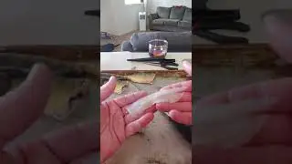 How to Fillet a Yellow Perch