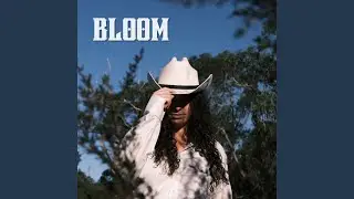 Bloom
