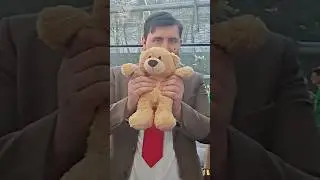 Mr. Bean & Teddy Rate Soul-Gates Cards 