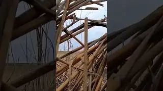 ОХОТА НА ГУСЯ!СОТНЯ ГУСЕЙ ЗАШЛА НА ЧУЧЕЛА ! 