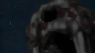 The wolves had enough