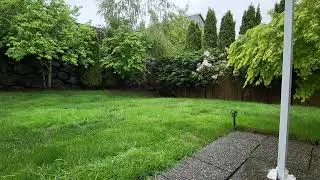 Rain 1