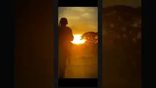 viva México ! remake #shorts