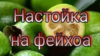 Настойка на фейхоа