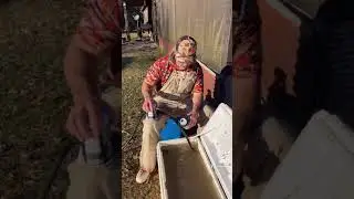 Purging crawfish??
