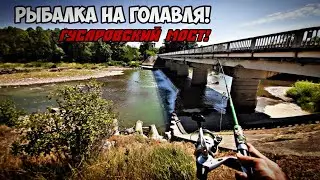 ПОЕХАЛ НА ГУСАРОВСКИЙ МОСТ! РЫБАЛКА НА ГОЛАВЛЯ!