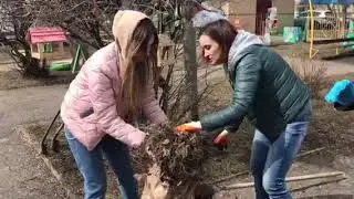 251 Детский сад