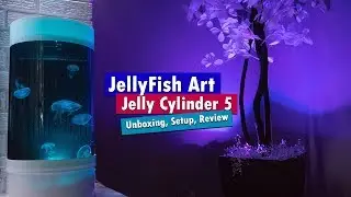 Jellyfish Art Cylinder 5 - Nano Moon Jellyfish aquarium unboxing setup and review