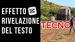 Effetto RIVELAZIONE del TESTO con CAPCUT (mentre si cammina)