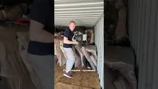 #shorts